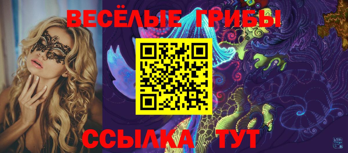 Псилоцибиновые грибы Cubensis Домодедово